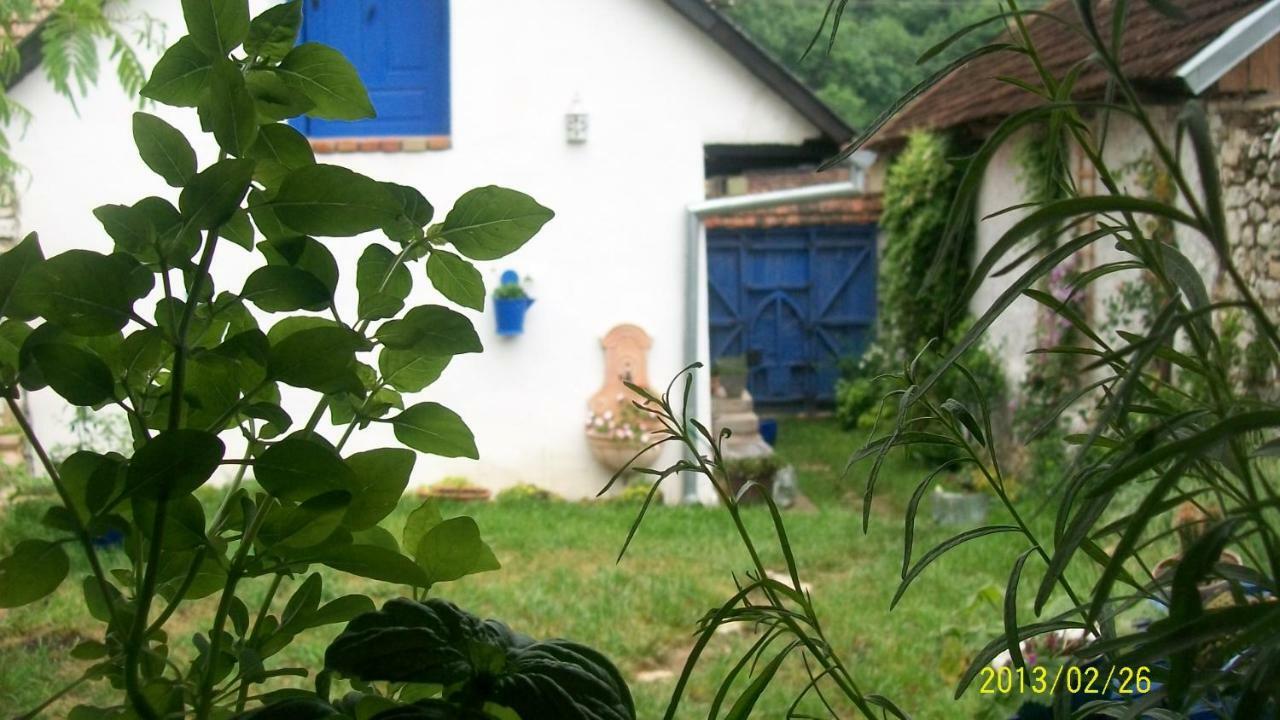 Вилла Casa Anca Cheile Nerei Socolari Экстерьер фото
