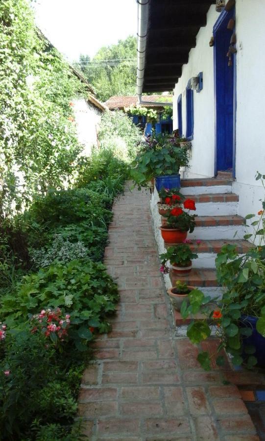 Вилла Casa Anca Cheile Nerei Socolari Экстерьер фото
