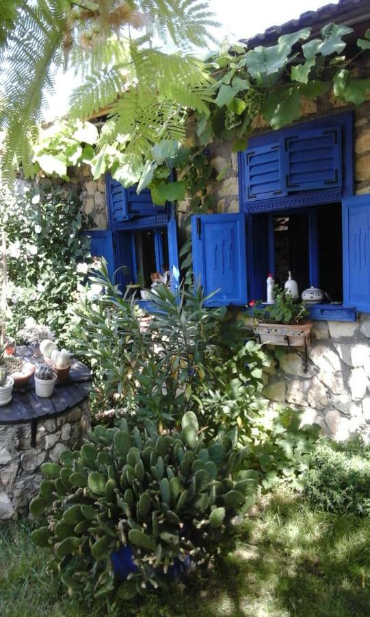 Вилла Casa Anca Cheile Nerei Socolari Экстерьер фото