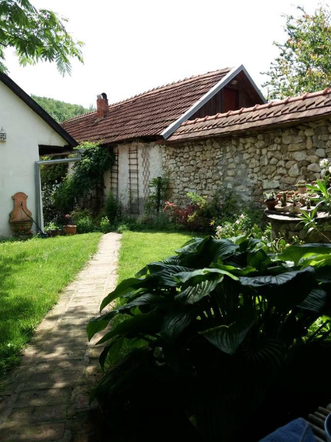 Вилла Casa Anca Cheile Nerei Socolari Экстерьер фото